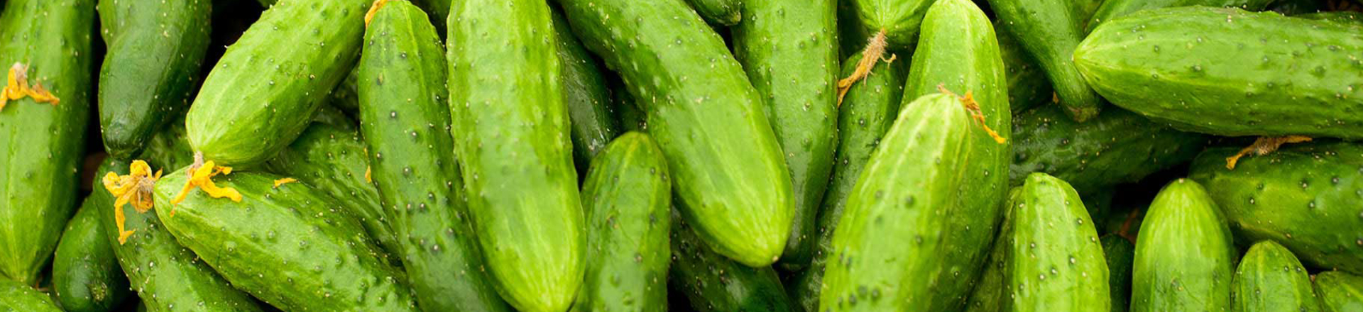 Elegant Wheel Gherkins Banner